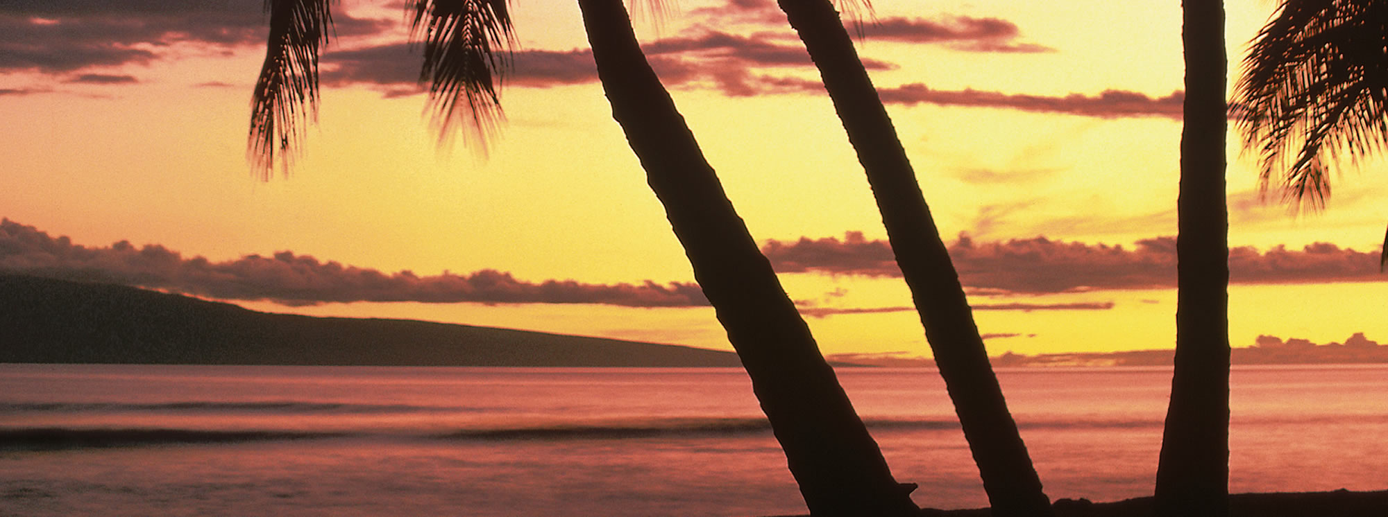 Guadeloupe Property For Sale Guadeloupe Property For Sale