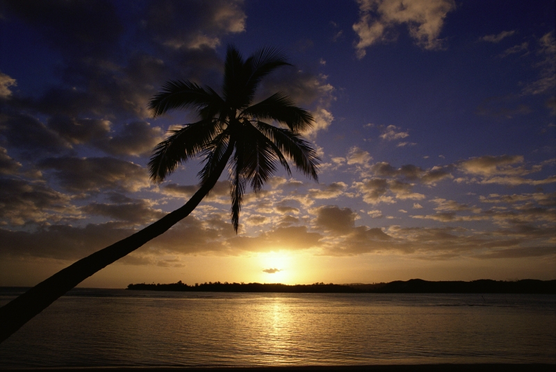 Jamaica Property For Sale Jamaica Property For Sale