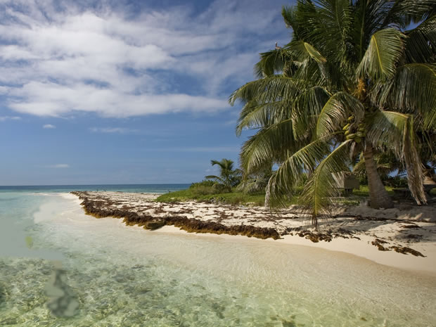Suriname Property For Sale Suriname Property For Sale
